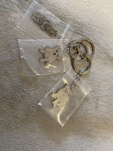 Customer photo review of Silvercut™ Keychain