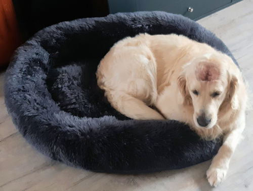 Customer photo review of Lit Apaisant Comfy® |  Pour Chien et Chat
