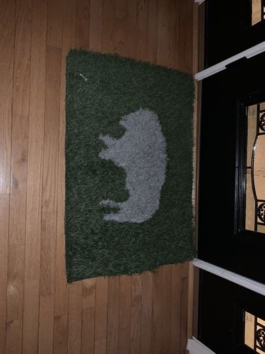 Customer photo review of Buffalo Inlay - Field & Sideline