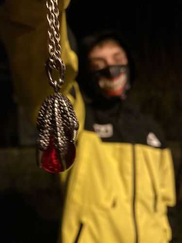 Customer photo review of Collier Dragon 'Shinju' en Acier Inoxydable