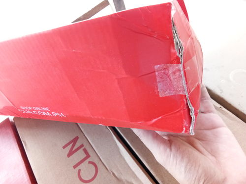 Customer photo review of Queena Flat Slides