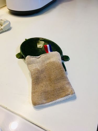 Customer photo review of Éponge Lavable & écologique HEYJUTE®