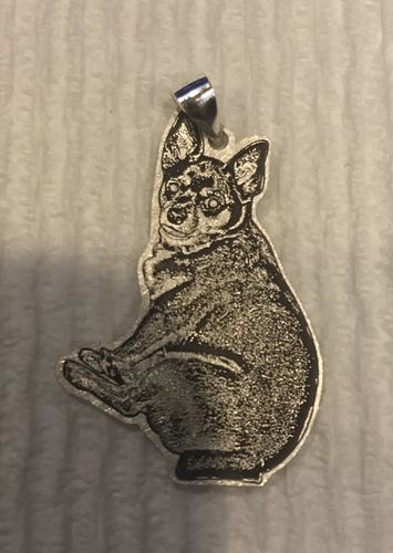 Customer photo review of Silvercut™ Necklace