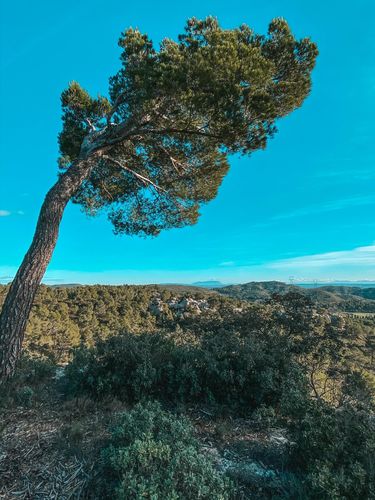 Customer photo review of PACK VOYAGE (5 PRESETS)