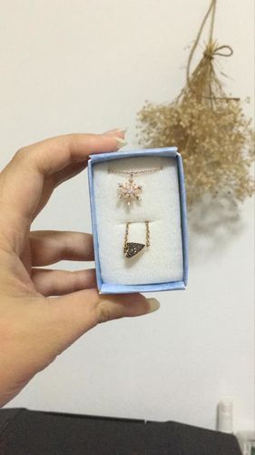 Customer photo review of CLUE x Disney - Frozen 2 - Snowflake Silver Necklace