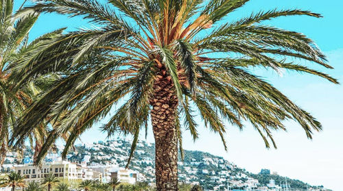 Customer photo review of PACK VOYAGE (5 PRESETS)