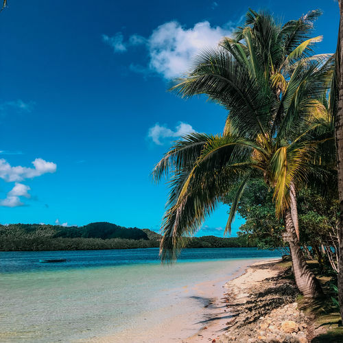 Customer photo review of 1 PACK ACHETÉ  = 3 OFFERTS