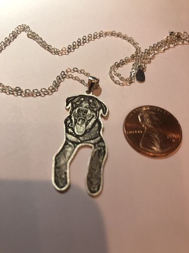 Customer photo review of Silvercut™ Necklace