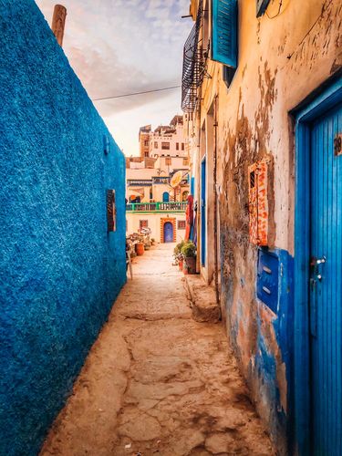 Customer photo review of 1 PACK ACHETÉ  = 3 OFFERTS