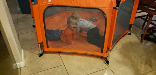 Customer photo review of Pop N' Go® Playpen