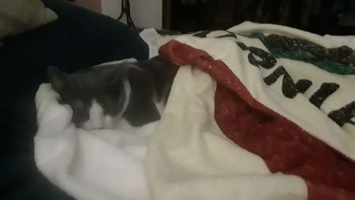 Customer photo review of California Republic Ivory Blanket