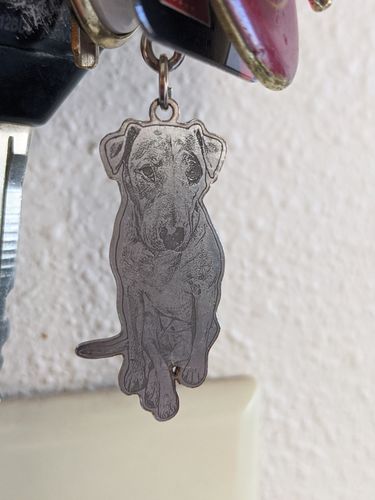 Customer photo review of Silvercut™ Keychain