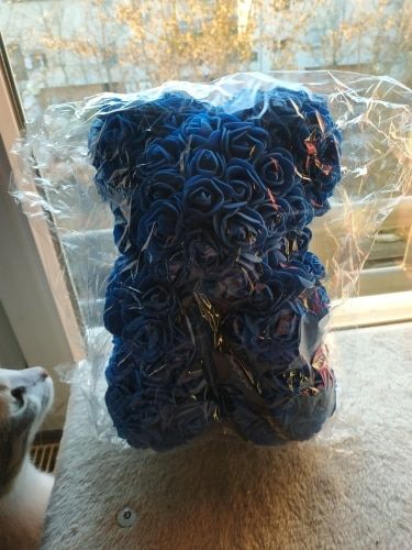 Customer photo review of Rose Bear