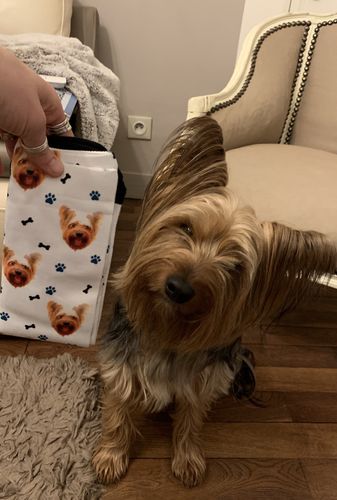 Customer photo review of Chaussettes Personnalisées Animal