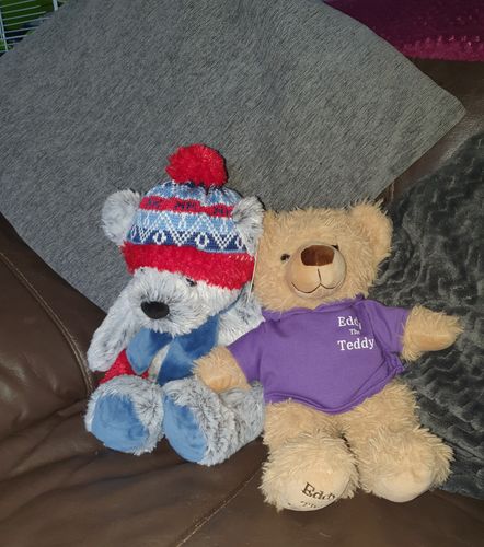 Customer photo review of Limited Edition Eddy The Teddy