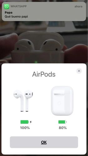 Customer photo review of WhitePods 2