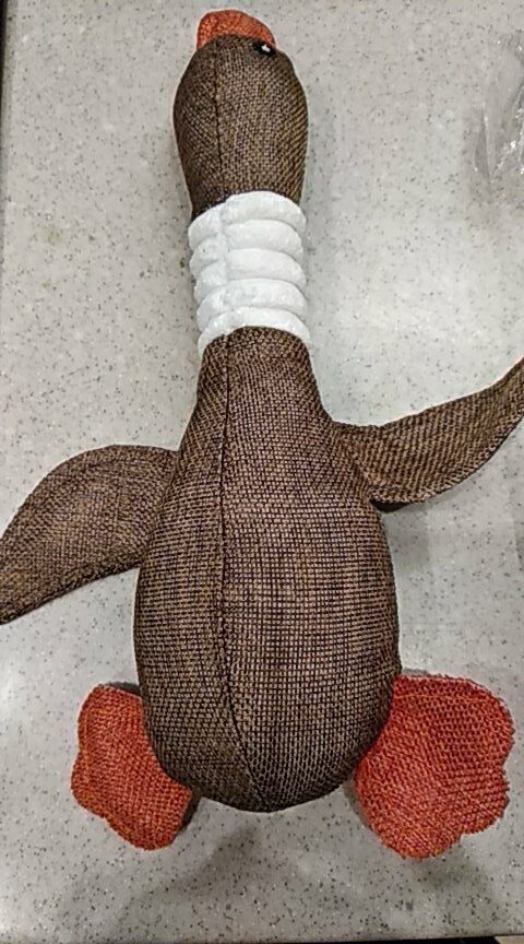 Customer photo review of Quackie Chan Hemp Duck