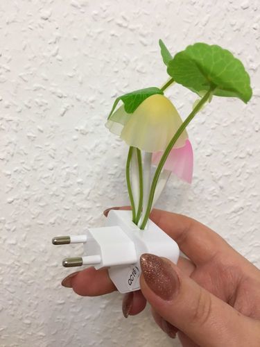 Customer photo review of Veilleuse Champignon | Eclairage durable