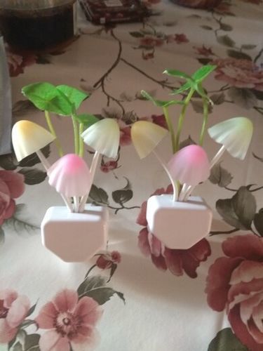 Customer photo review of Veilleuse Champignon | Eclairage durable