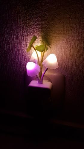 Customer photo review of Veilleuse Champignon | Eclairage durable