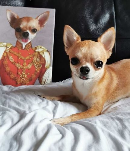 Customer photo review of Le Duc