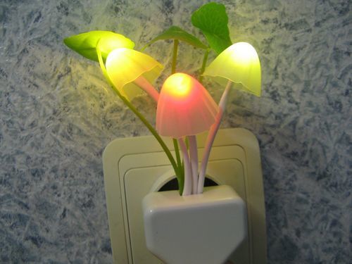 Customer photo review of Veilleuse Champignon | Eclairage durable