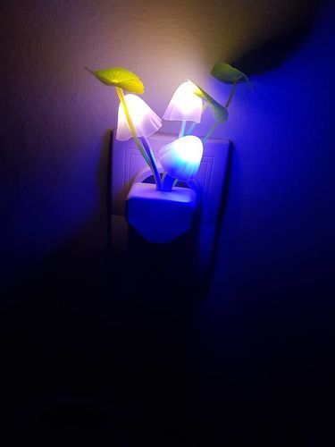 Customer photo review of Veilleuse Champignon | Eclairage durable