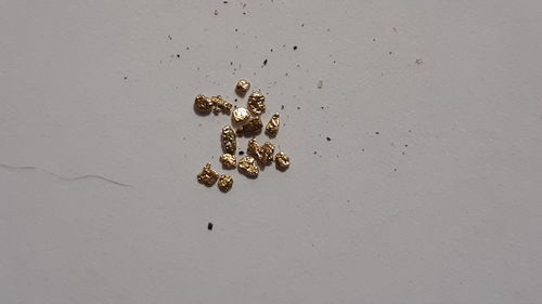 Customer photo review of Pioneer 'NUGGET CHALLENGE' Paydirt - Gold Panning Concentrate