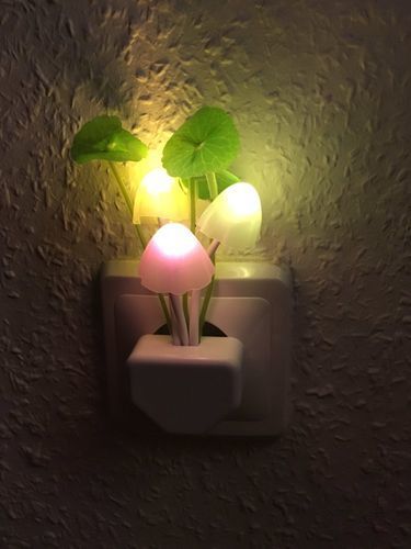 Customer photo review of Veilleuse Champignon | Eclairage durable