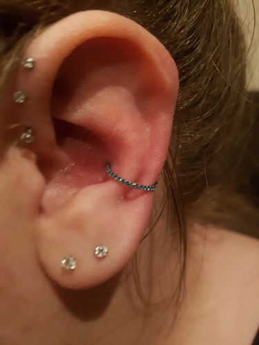 Customer photo review of Micro Paved Gems Hinged Segment Ring