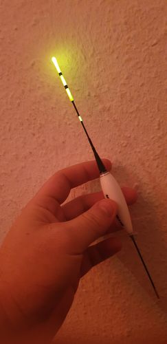 Customer photo review of 10g Smart Fishing Float