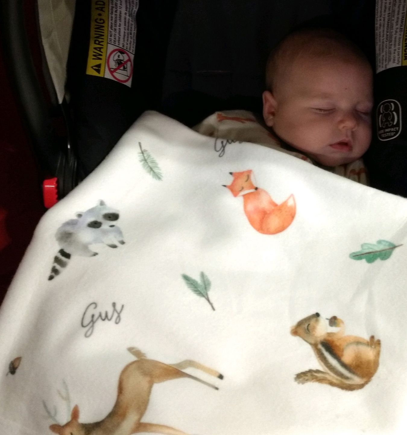 Customer photo review of Woodland Animals Personalized Baby Blanket