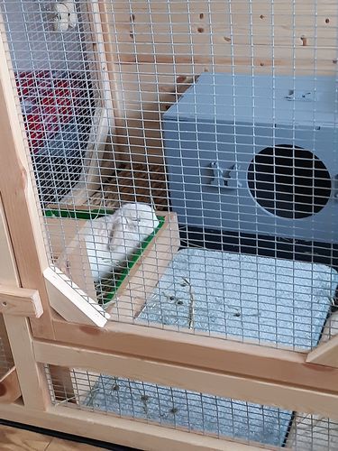 Customer photo review of Timothy Hay Box