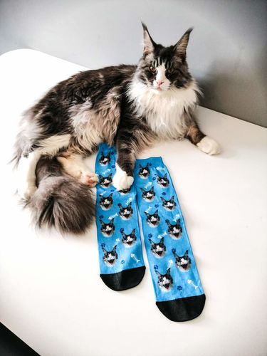 Customer photo review of Nogavice s tvojim mačkom
