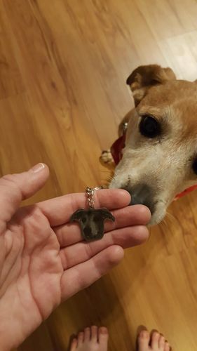 Customer photo review of Silvercut™ Keychain