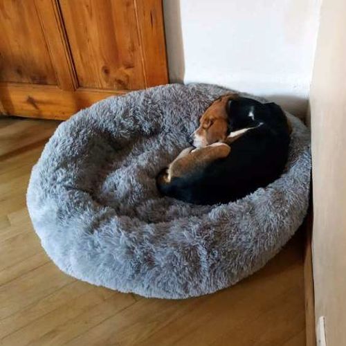 Customer photo review of Lit Apaisant Comfy® |  Pour Chien et Chat