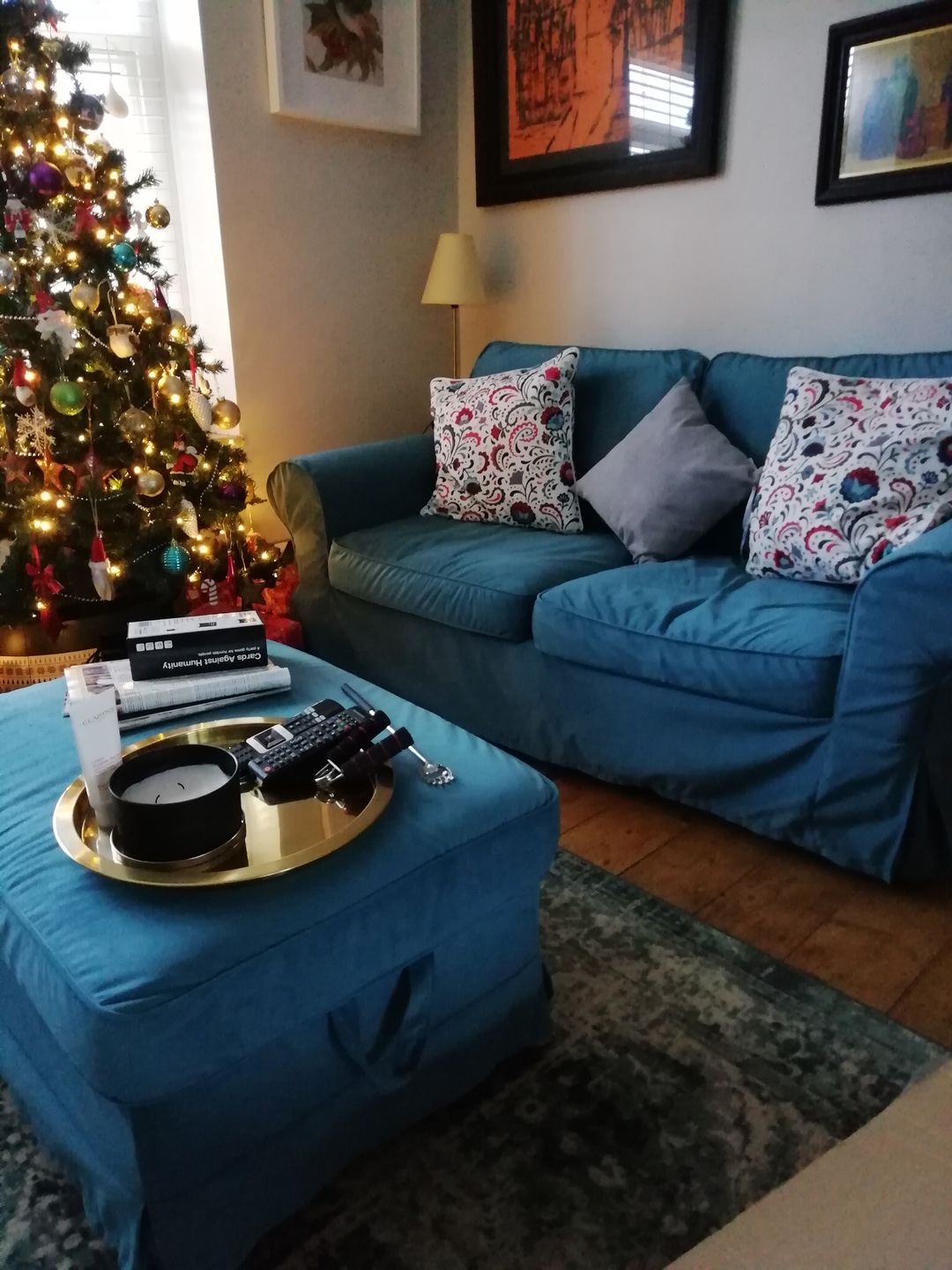 Customer photo review of EKTORP 2 Seat IKEA Sofa Cover