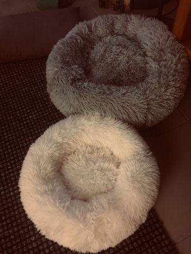 Customer photo review of Lit Apaisant Comfy® |  Pour Chien et Chat