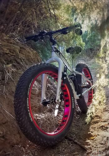 Customer photo review of Wolftrax Alloy Fat Bike 26"