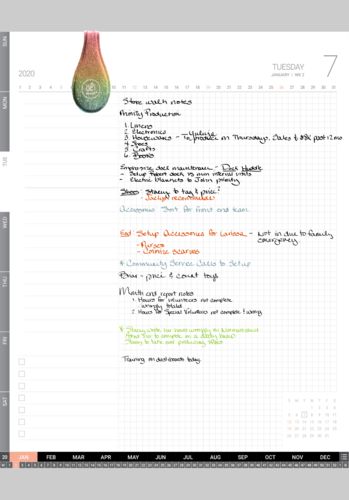 Customer photo review of Duet planner 2020