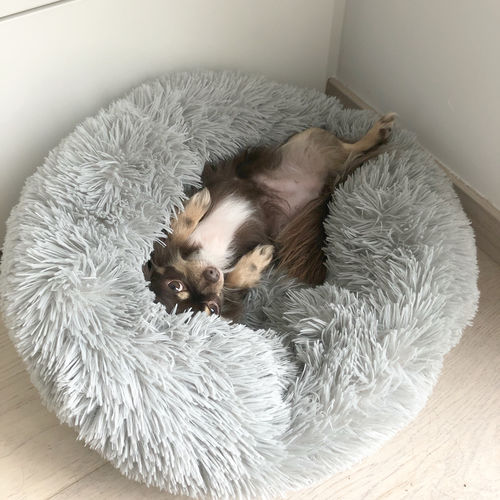 Customer photo review of Lit Apaisant Comfy® |  Pour Chien et Chat
