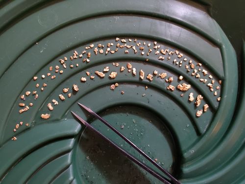 Customer photo review of 5 Lb. Rich Gold Paydirt Unsearched Concentrate BOGO