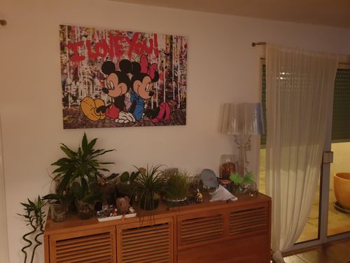 Customer photo review of Tableau Mickey Minnie Loves