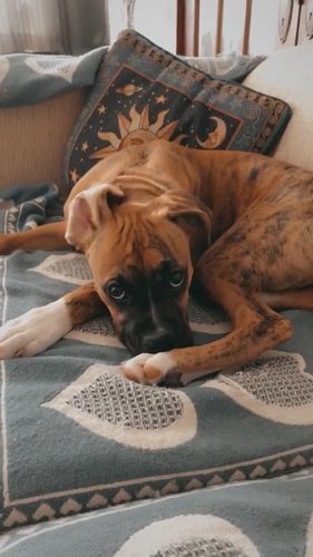 Customer photo review of LOS ANGELES LIGHTROOM PRESETS