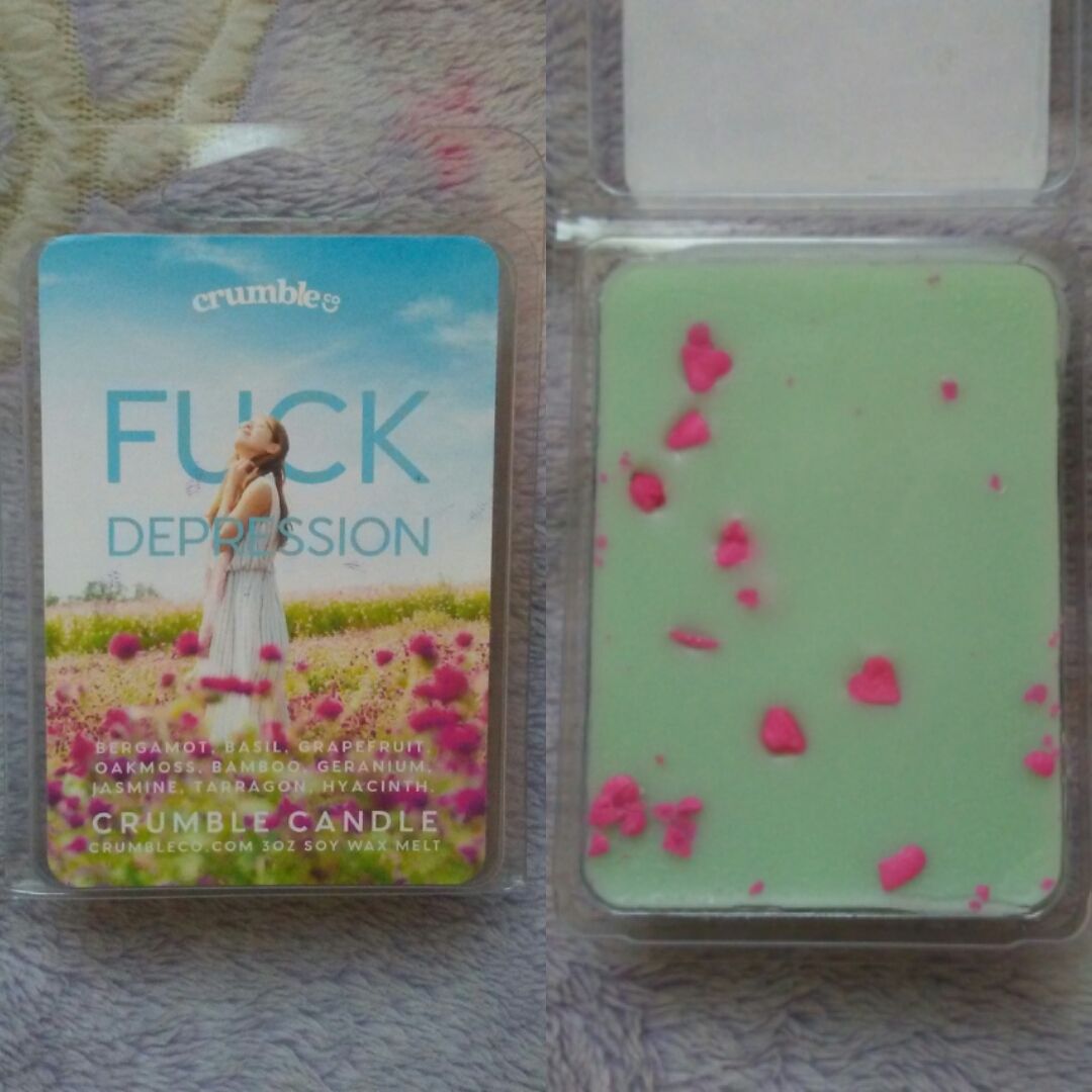 Customer photo review of Fuck Depression Wax Melts