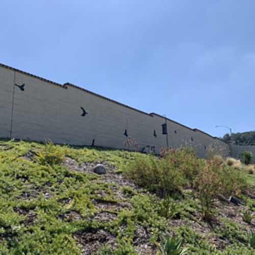 Customer photo review of Birds - Metal Wall Art