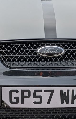 Customer photo review of Domed Number Plate Badges