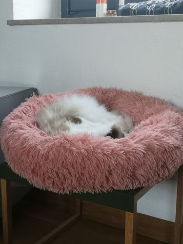 Customer photo review of Lit Apaisant Comfy® |  Pour Chien et Chat