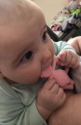 pig teether