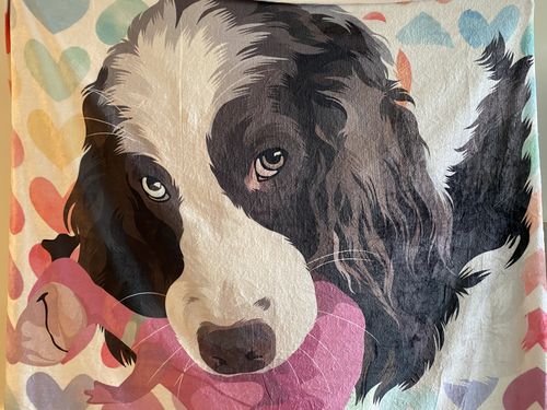Customer photo review of Custom Pet Fleece Blanket